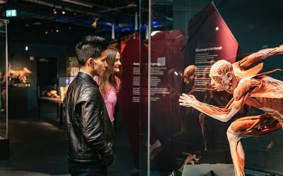 Berlin: Bilety do Muzeum BODY WORLDS w Berlinie