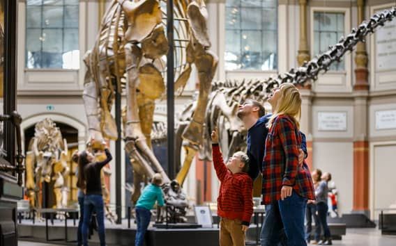 Berlin : billet d'entrée au musée d'histoire naturelle